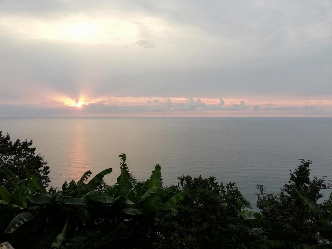 Albatross Kvariati Guest House 외부 사진
