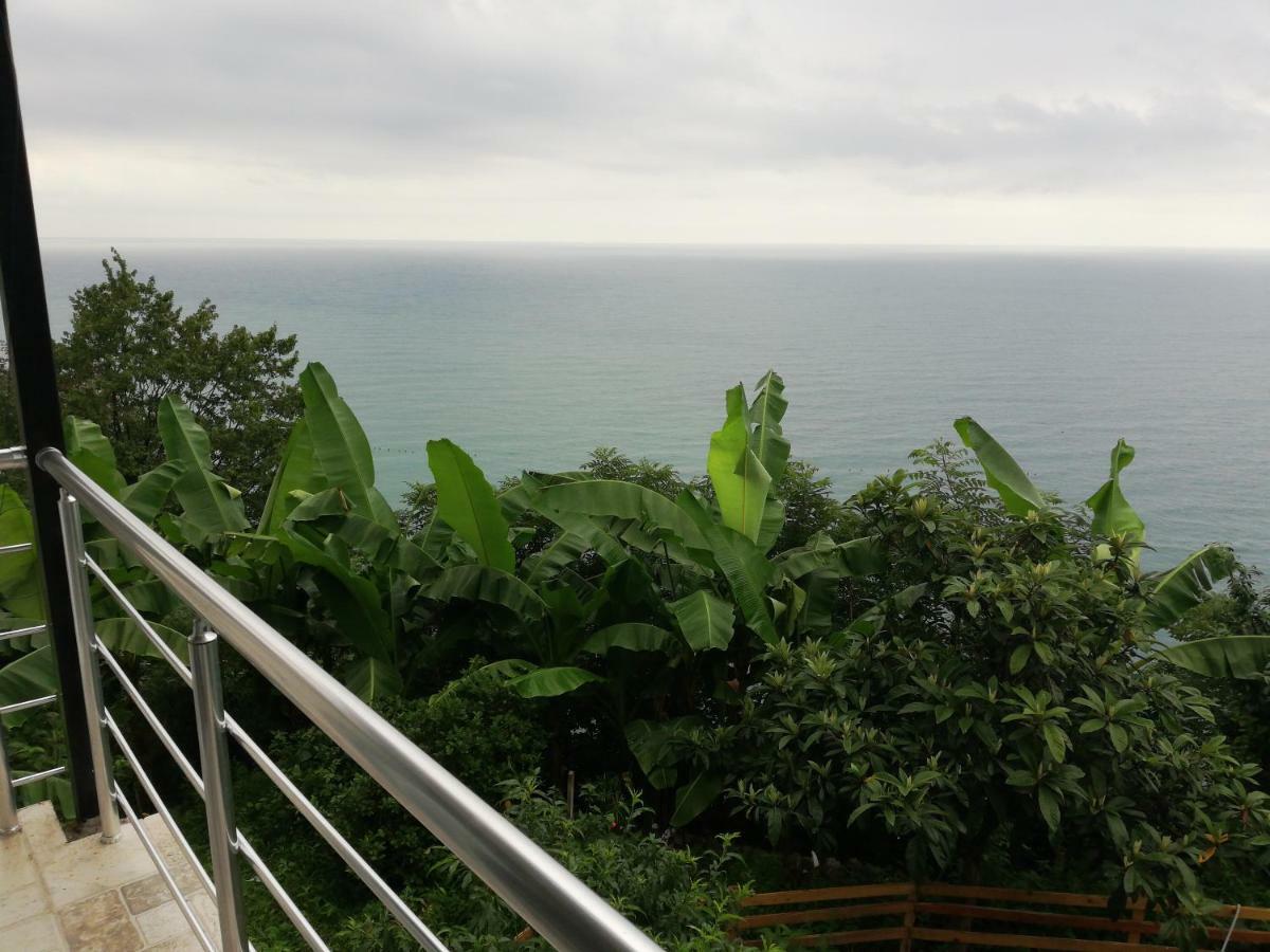 Albatross Kvariati Guest House 외부 사진